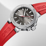 Oris Aquis Date Relief  Oris