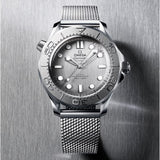 Omega Seamaster Diver 300M 42 mm