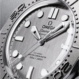 Omega Seamaster Diver 300M 42 mm