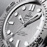 Omega Seamaster Diver 300M 42 mm