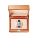 Omega Seamaster Diver 300M 42 mm