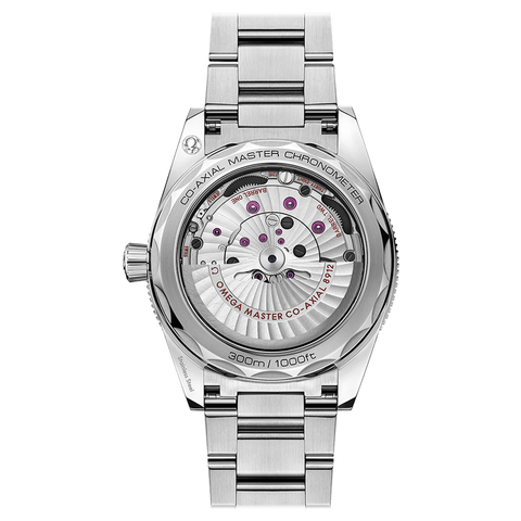 Omega Seamaster 300 Co-Axial Master Chronometer  Omega